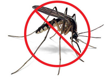 Mosquito Control Pewaukee